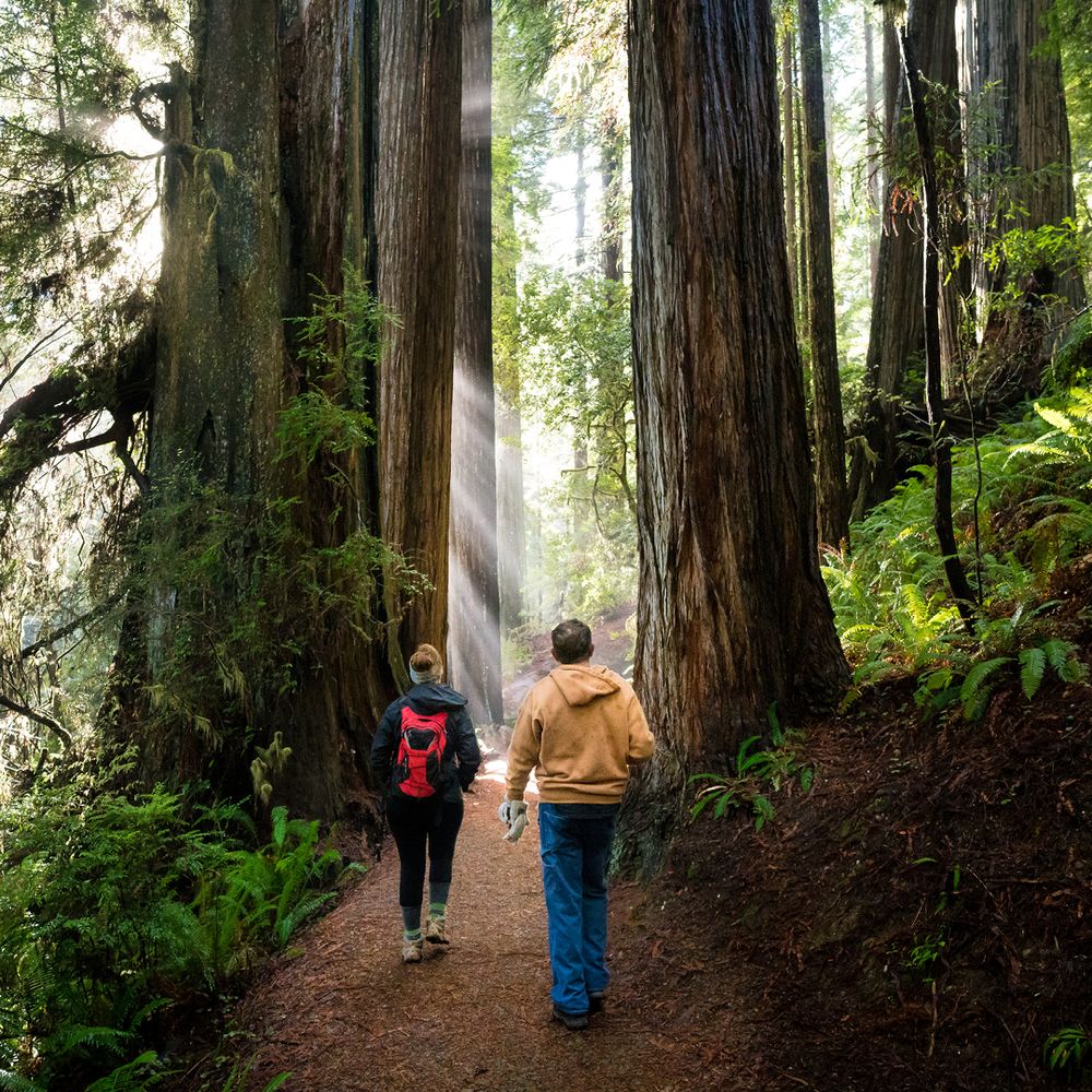 SAN-FRANCISCO-GOLDEN-GATE