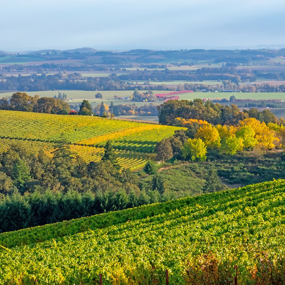 9days Seattle to San Francisco tour map